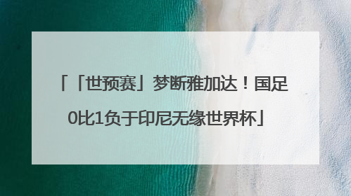 「世预赛」梦断雅加达！国足0比1负于印尼无缘世界杯