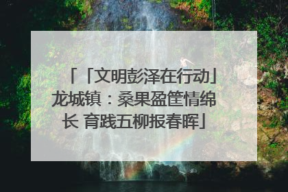 「文明彭泽在行动」龙城镇：桑果盈筐情绵长 育践五柳报春晖