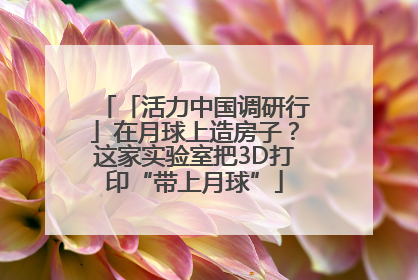 「活力中国调研行」在月球上造房子？这家实验室把3D打印“带上月球”