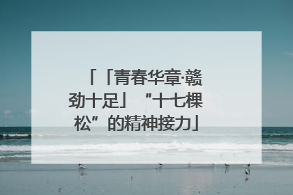 「青春华章·赣劲十足」“十七棵松”的精神接力