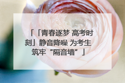 「青春逐梦 高考时刻」静音降噪 为考生筑牢“隔音墙”