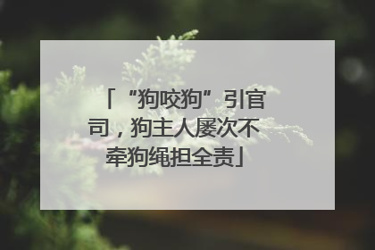 “狗咬狗”引官司，狗主人屡次不牵狗绳担全责