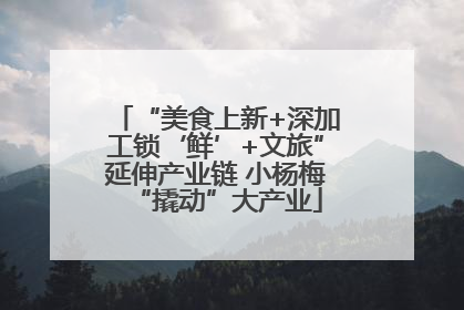 “美食上新+深加工锁‘鲜’+文旅”延伸产业链 小杨梅“撬动”大产业