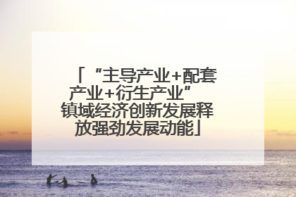 “主导产业+配套产业+衍生产业” 镇域经济创新发展释放强劲发展动能