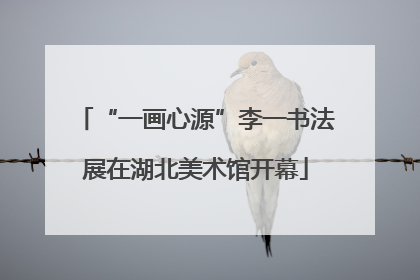 “一画心源”李一书法展在湖北美术馆开幕