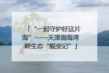 “一起守护好这片海”——天津渤海湾畔生态“蜕变记”