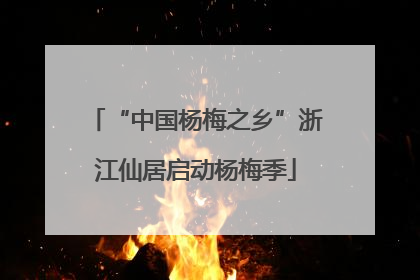 “中国杨梅之乡”浙江仙居启动杨梅季