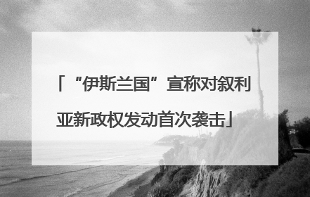 “伊斯兰国”宣称对叙利亚新政权发动首次袭击