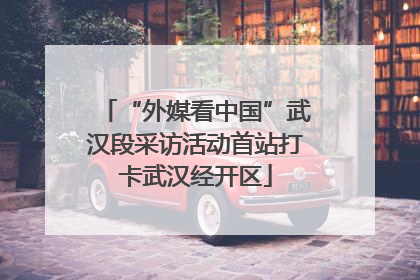 “外媒看中国”武汉段采访活动首站打卡武汉经开区