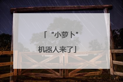“小萝卜”机器人来了