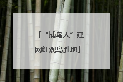 “捕鸟人”建网红观鸟胜地