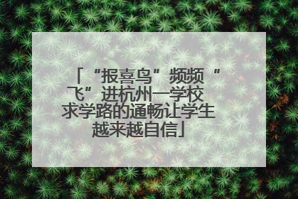 “报喜鸟”频频“飞”进杭州一学校 求学路的通畅让学生越来越自信
