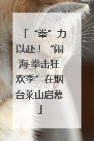 “拳”力以赴！“闹海·拳击狂欢季”在烟台莱山启幕