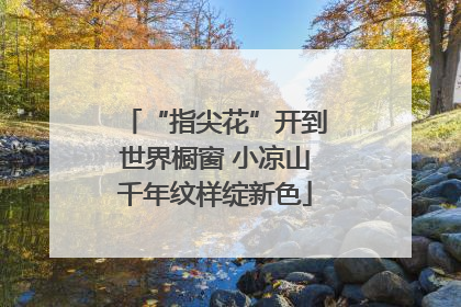 “指尖花”开到世界橱窗 小凉山千年纹样绽新色