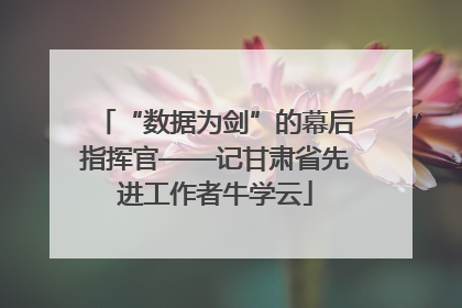“数据为剑”的幕后指挥官——记甘肃省先进工作者牛学云