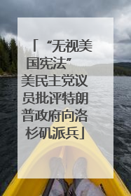 “无视美国宪法” 美民主党议员批评特朗普政府向洛杉矶派兵