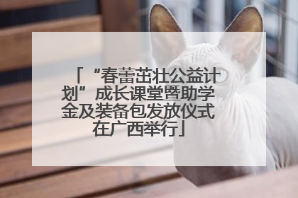 “春蕾茁壮公益计划”成长课堂暨助学金及装备包发放仪式在广西举行