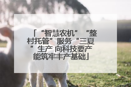 “智慧农机”“整村托管”服务“三夏”生产 向科技要产能筑牢丰产基础