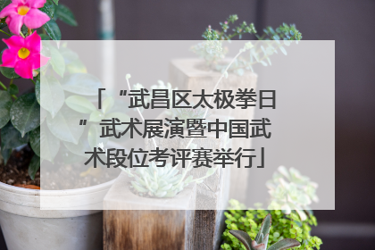“武昌区太极拳日”武术展演暨中国武术段位考评赛举行