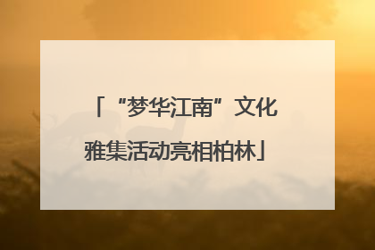 “梦华江南”文化雅集活动亮相柏林