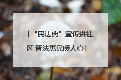 “民法典”宣传进社区 普法惠民暖人心