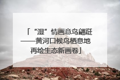 “湿”情画意鸟翩跹——黄河口候鸟栖息地再绘生态新画卷