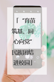 “育苗筑基、同心向党”民族团结进校园