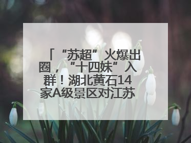 “苏超”火爆出圈，“十四妹”入群！湖北黄石14家A级景区对江苏游客免票