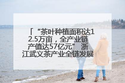 “茶叶种植面积达12.5万亩，全产业链产值达57亿元” 浙江武义茶产业全链发展“加速度”