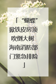 “蝴蝶”掀铁皮房顶吹倒大树 海南消防部门紧急排险
