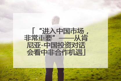 “进入中国市场，非常重要”——从肯尼亚-中国投资对话会看中非合作机遇
