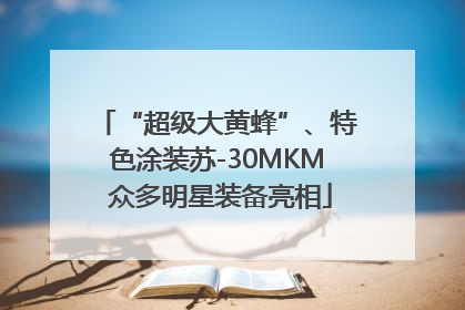 “超级大黄蜂”、特色涂装苏-30MKM 众多明星装备亮相