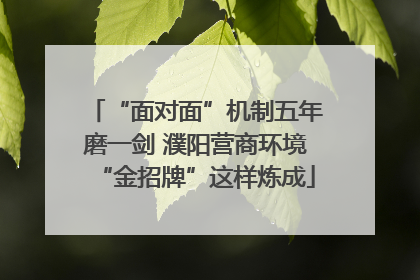 “面对面”机制五年磨一剑 濮阳营商环境“金招牌”这样炼成