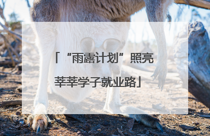 “雨露计划”照亮莘莘学子就业路