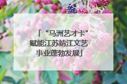 “马洲艺才卡”赋能江苏靖江文艺事业蓬勃发展