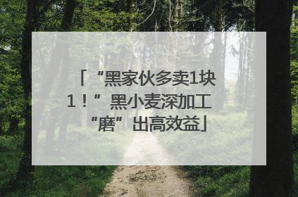 “黑家伙多卖1块1！”黑小麦深加工“磨”出高效益