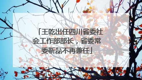 王乾出任四川省委社会工作部部长，省委常委靳磊不再兼任