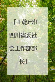 王乾已任四川省委社会工作部部长