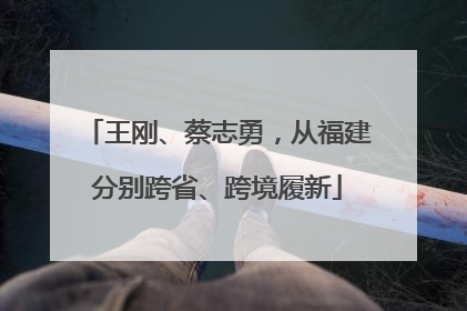 王刚、蔡志勇，从福建分别跨省、跨境履新