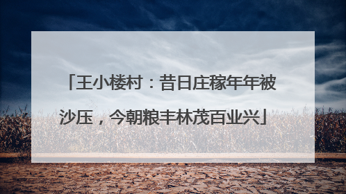 王小楼村：昔日庄稼年年被沙压，今朝粮丰林茂百业兴