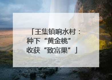 王集镇响水村：种下“黄金桃” 收获“致富果”