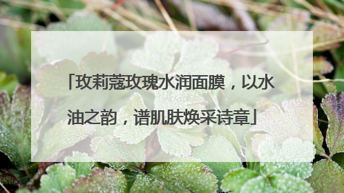 玫莉蔻玫瑰水润面膜，以水油之韵，谱肌肤焕采诗章