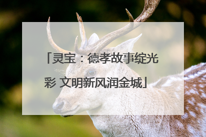 灵宝：德孝故事绽光彩 文明新风润金城