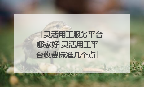 灵活用工服务平台哪家好 灵活用工平台收费标准几个点