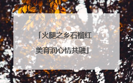火腿之乡石榴红 美育润心情共融