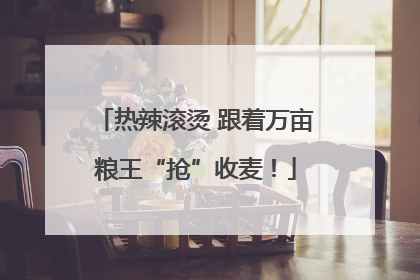 热辣滚烫 跟着万亩粮王“抢”收麦！