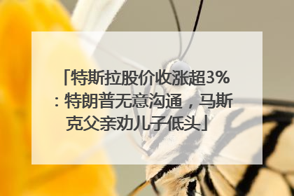 特斯拉股价收涨超3%：特朗普无意沟通，马斯克父亲劝儿子低头