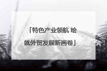 特色产业领航 绘就外贸发展新画卷