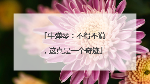 牛弹琴：不得不说，这真是一个奇迹
