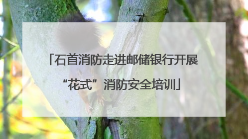 石首消防走进邮储银行开展 “花式”消防安全培训